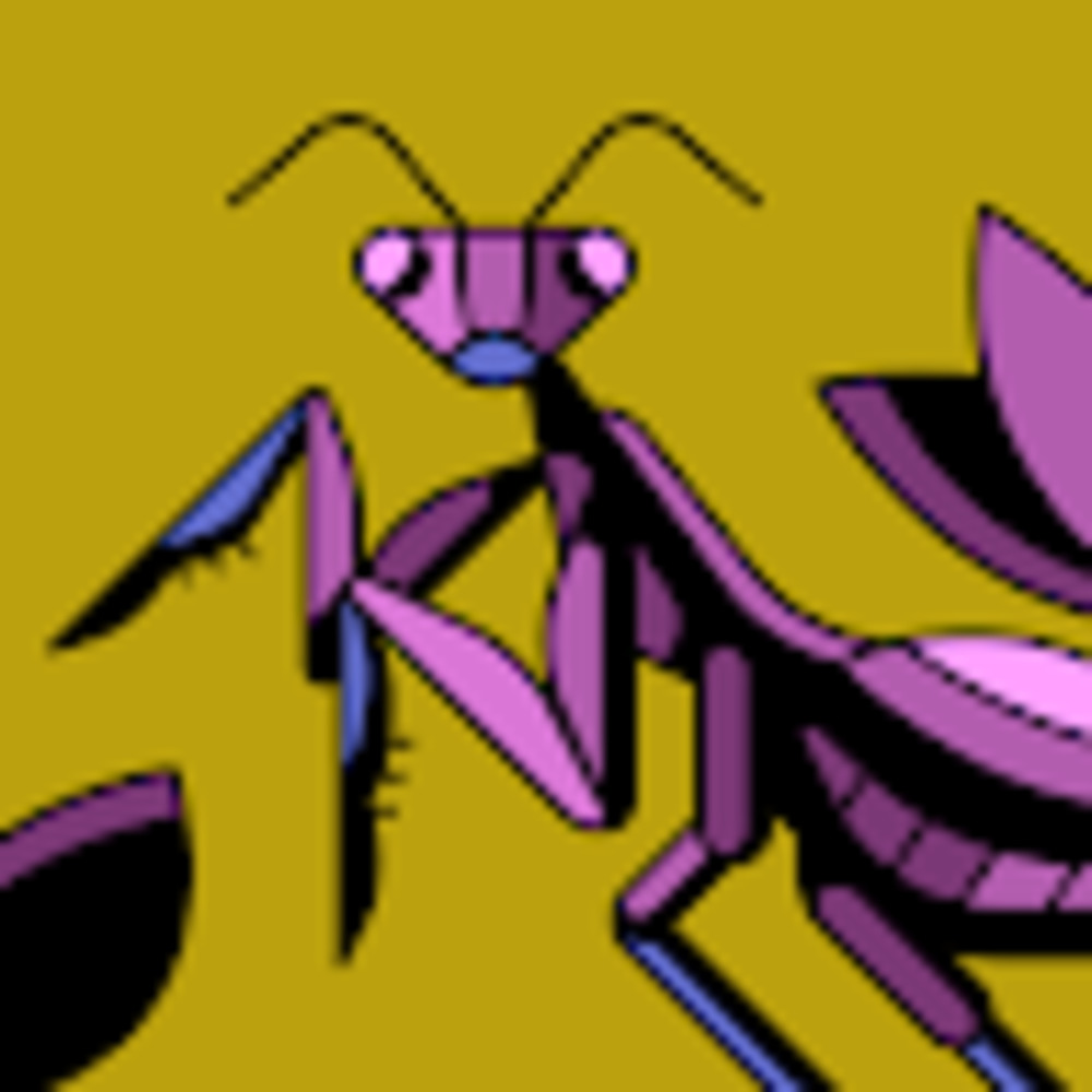 Meet your Posher, Sierra